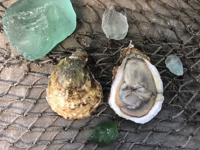  CT Blue Point Oyster - 25 count
